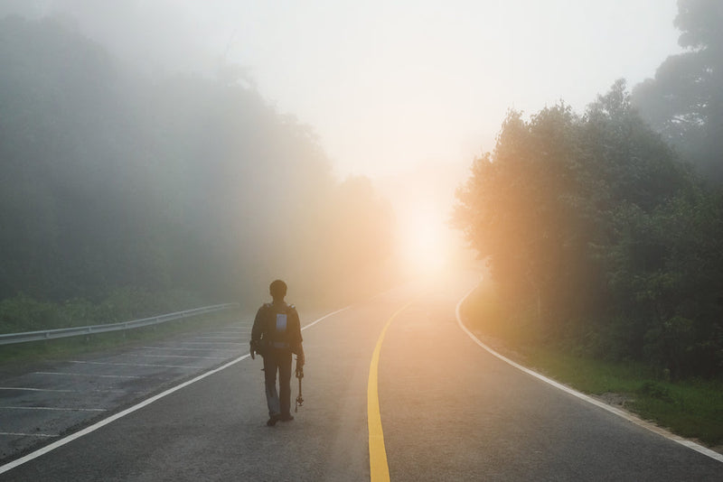 A solitary figure walking along a mist-covered road, surrounded by dense trees, moving toward a glowing, mysterious light. Depicts Mark’s Endless Journey from Candle Face Chronicles by Branching Plot Books.