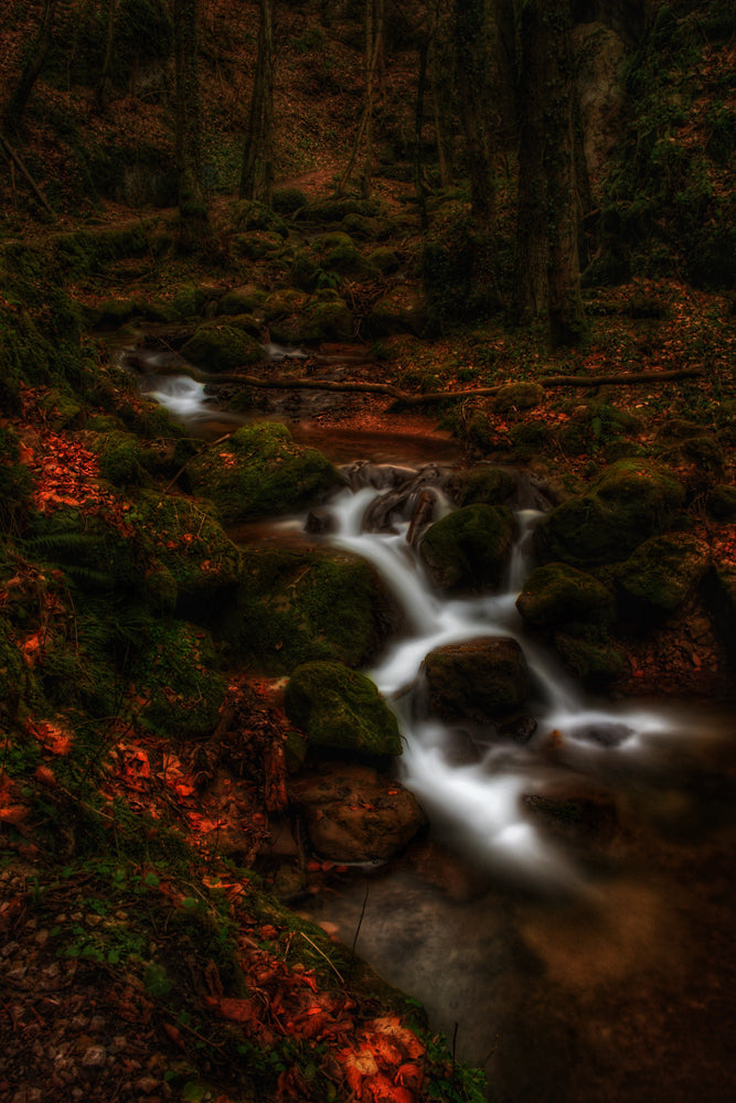A dark forest scene with a flowing stream cascading over moss-covered rocks. The autumn leaves add a haunting contrast, reflecting the unsettling mystery of the journal entry 'Candle Face is Real and She’s Here to Help.'